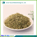 Traditional Chinese Herb Medicine 100% Natural Lonicera japonica Honeysuckle Flos Lonicerae (Jin Yin Hua)